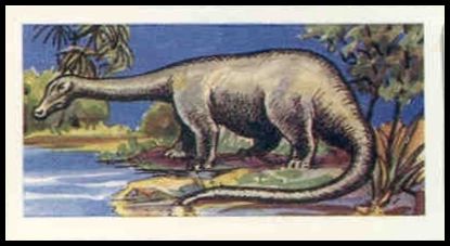 20 Brontosaurus Excelsus